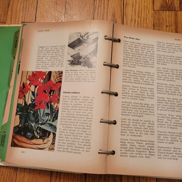 Better Homes and Gardens New Garden Book Vintage 1974 Complete Guide Nature - Picture 5 of 5